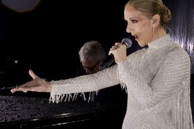 Celine Dion en Paris vestido Dior.jpg