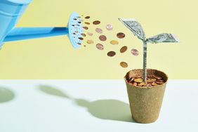 Money PLant
