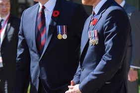 Príncipe William, príncipe Harry