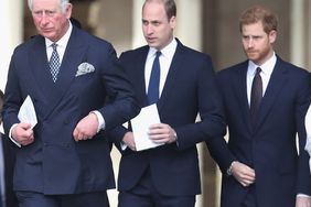 Prince Charles, Prince William, and Prince Harry