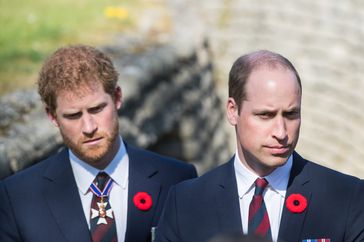 Prince William, Duke of Cambridge and Prince Harry celos 