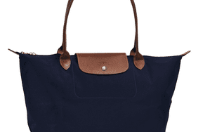 Long Champ Bag