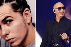Pitbull con y sin cabello