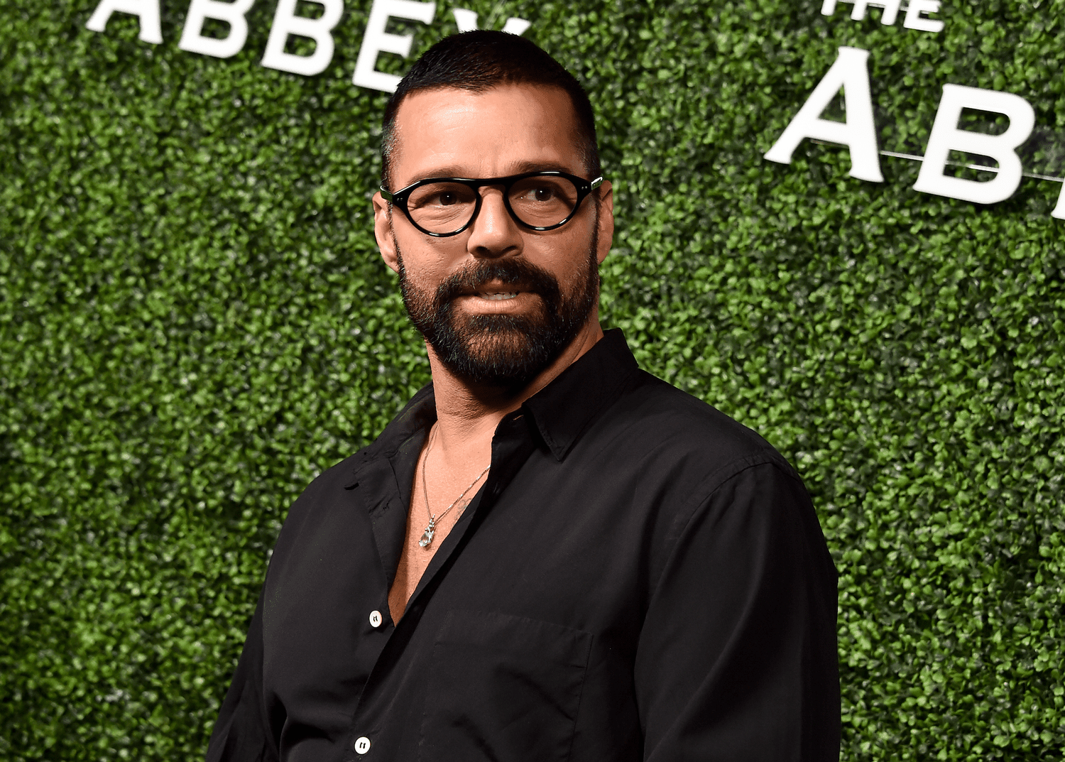 Ricky Martin