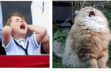 Príncipe Louis memes jubileo de la reina Isabel II